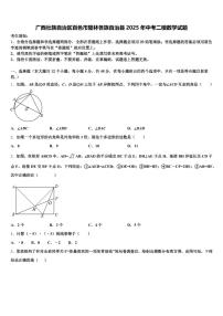 广西壮族自治区百色市隆林各族自治县2025年中考二模数学试题含解析