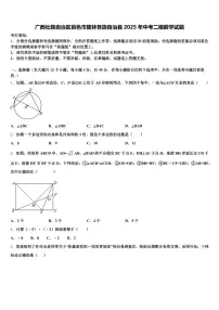 广西壮族自治区百色市隆林各族自治县2025年中考二模数学试题含解析