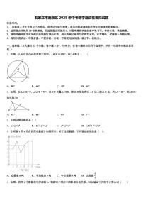 石家庄市鹿泉区2025年中考数学适应性模拟试题含解析