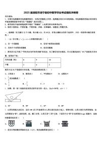 2025届洛阳市洛宁县初中数学毕业考试模拟冲刺卷含解析