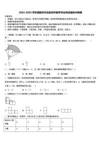 2024-2025学年濮阳市华龙区初中数学毕业考试模拟冲刺卷含解析