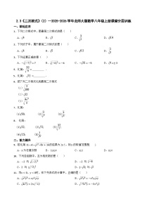 北师大版（2024）八年级上册（2024）3 二次根式练习题