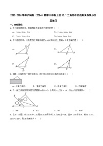 初中数学沪科版（2024）八年级上册（2024）13.1 三角形中的边角关系当堂检测题