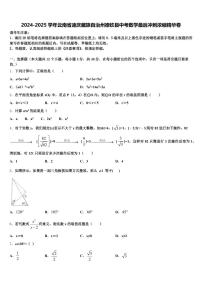 2024-2025学年云南省迪庆藏族自治州德钦县中考数学最后冲刺浓缩精华卷含解析
