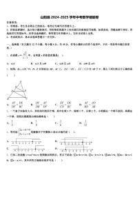 山阳县2024-2025学年中考数学猜题卷含解析