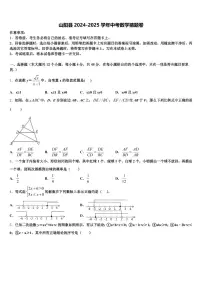 山阳县2024-2025学年中考数学猜题卷含解析