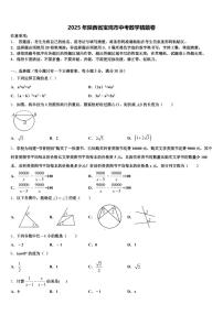 2025年陕西省宝鸡市中考数学猜题卷含解析