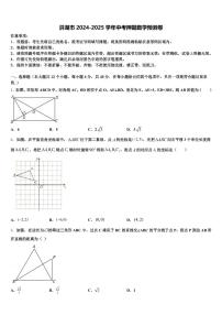 洪湖市2024-2025学年中考押题数学预测卷含解析