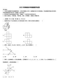 2025年屏南县中考猜题数学试卷含解析