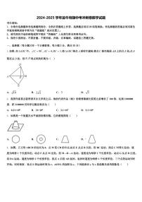 2024-2025学年翁牛特旗中考冲刺卷数学试题含解析