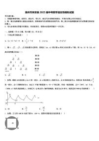 滁州市来安县2025届中考数学适应性模拟试题含解析
