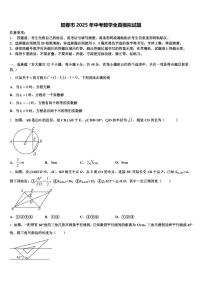 阳春市2025年中考数学全真模拟试题含解析