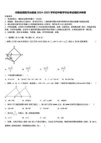 河南省濮阳市台前县2024-2025学年初中数学毕业考试模拟冲刺卷含解析