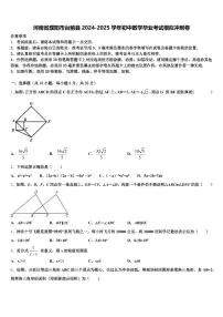 河南省濮阳市台前县2024-2025学年初中数学毕业考试模拟冲刺卷含解析