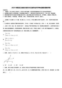 2025年黑龙江省哈尔滨市木兰县毕业升学考试模拟卷数学卷含解析