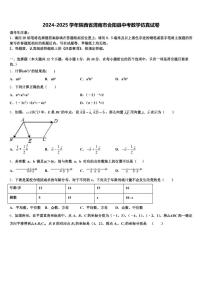 2024-2025学年陕西省渭南市合阳县中考数学仿真试卷含解析