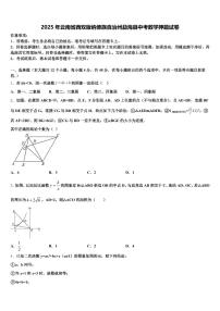 2025年云南省西双版纳傣族自治州勐海县中考数学押题试卷含解析