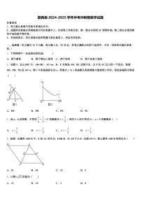 阳西县2024-2025学年中考冲刺卷数学试题含解析