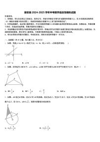 磐安县2024-2025学年中考数学适应性模拟试题含解析
