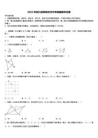 2025年四川省攀枝花市中考猜题数学试卷含解析
