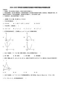 2024-2025学年四川省绵阳市涪城区中考数学最后冲刺模拟试卷含解析