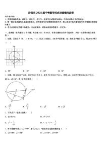 汾阳市2025届中考数学对点突破模拟试卷含解析