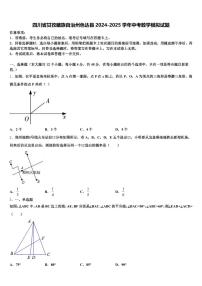四川省甘孜藏族自治州色达县2024-2025学年中考数学模拟试题含解析