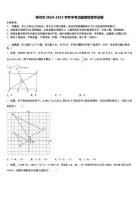 林州市2024-2025学年中考试题猜想数学试卷含解析