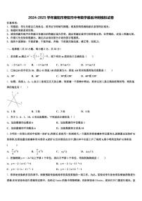 2024-2025学年襄阳市枣阳市中考数学最后冲刺模拟试卷含解析