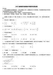 2025届湘潭市湘潭县中考数学仿真试卷含解析