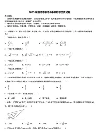 2025届湘潭市湘潭县中考数学仿真试卷含解析