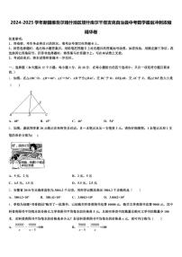 2024-2025学年新疆维吾尔喀什地区塔什库尔干塔吉克自治县中考数学最后冲刺浓缩精华卷含解析