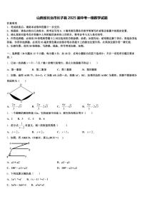 山西省长治市长子县2025届中考一模数学试题含解析
