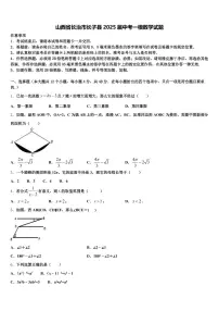 山西省长治市长子县2025届中考一模数学试题含解析