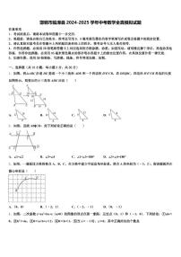 邯郸市临漳县2024-2025学年中考数学全真模拟试题含解析