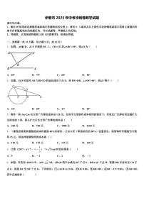 伊春市2025年中考冲刺卷数学试题含解析