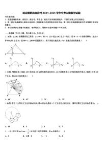 延边朝鲜族自治州2024-2025学年中考三模数学试题含解析
