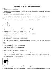 广东省梅州市2024-2025学年中考数学模拟试题含解析