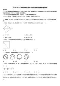 2024-2025学年陕西省榆林市佳县中考数学模拟预测题含解析