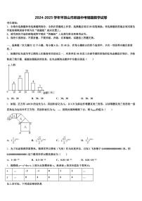 2024-2025学年平顶山市郏县中考猜题数学试卷含解析