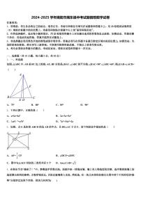 2024-2025学年揭阳市揭东县中考试题猜想数学试卷含解析