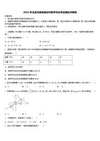 2025年玉溪市通海县初中数学毕业考试模拟冲刺卷含解析
