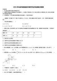 2025年玉溪市通海县初中数学毕业考试模拟冲刺卷含解析
