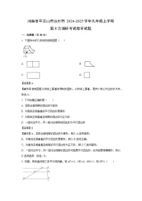 河南省平顶山市汝州市2024-2025学年九年级上学期第8次调研考试数学试题（解析版）