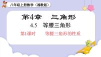 初中数学湘教版（2024）八年级上册（2024）4.5 等腰三角形课文配套ppt课件