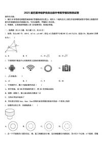 2025届巴里坤哈萨克自治县中考数学模拟预测试卷含解析