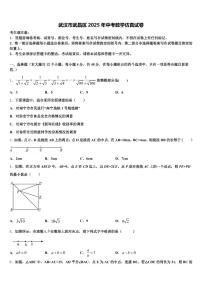 武汉市武昌区2025年中考数学仿真试卷含解析