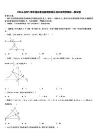 2024-2025学年清远市连南瑶族自治县中考数学最后一模试卷含解析