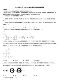 辽宁省营口市2025年中考数学考试模拟冲刺卷含解析
