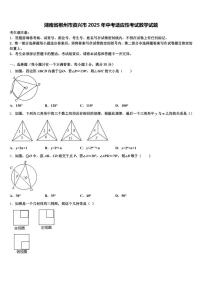 湖南省郴州市资兴市2025年中考适应性考试数学试题含解析